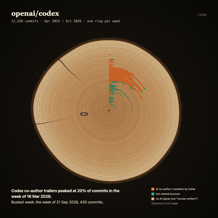 Tree rings of openai/codex